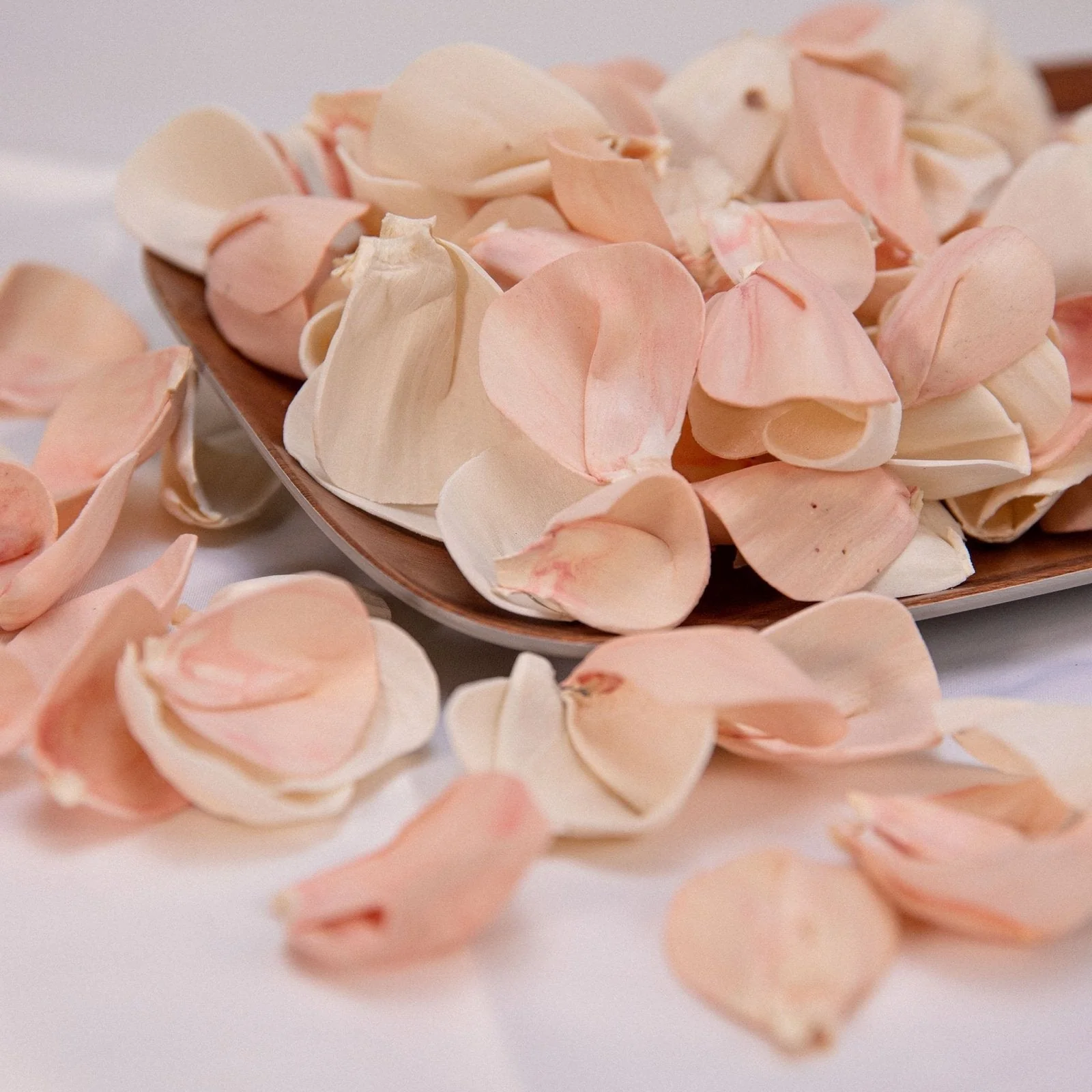 100 Petal Pack - Blush Beauty