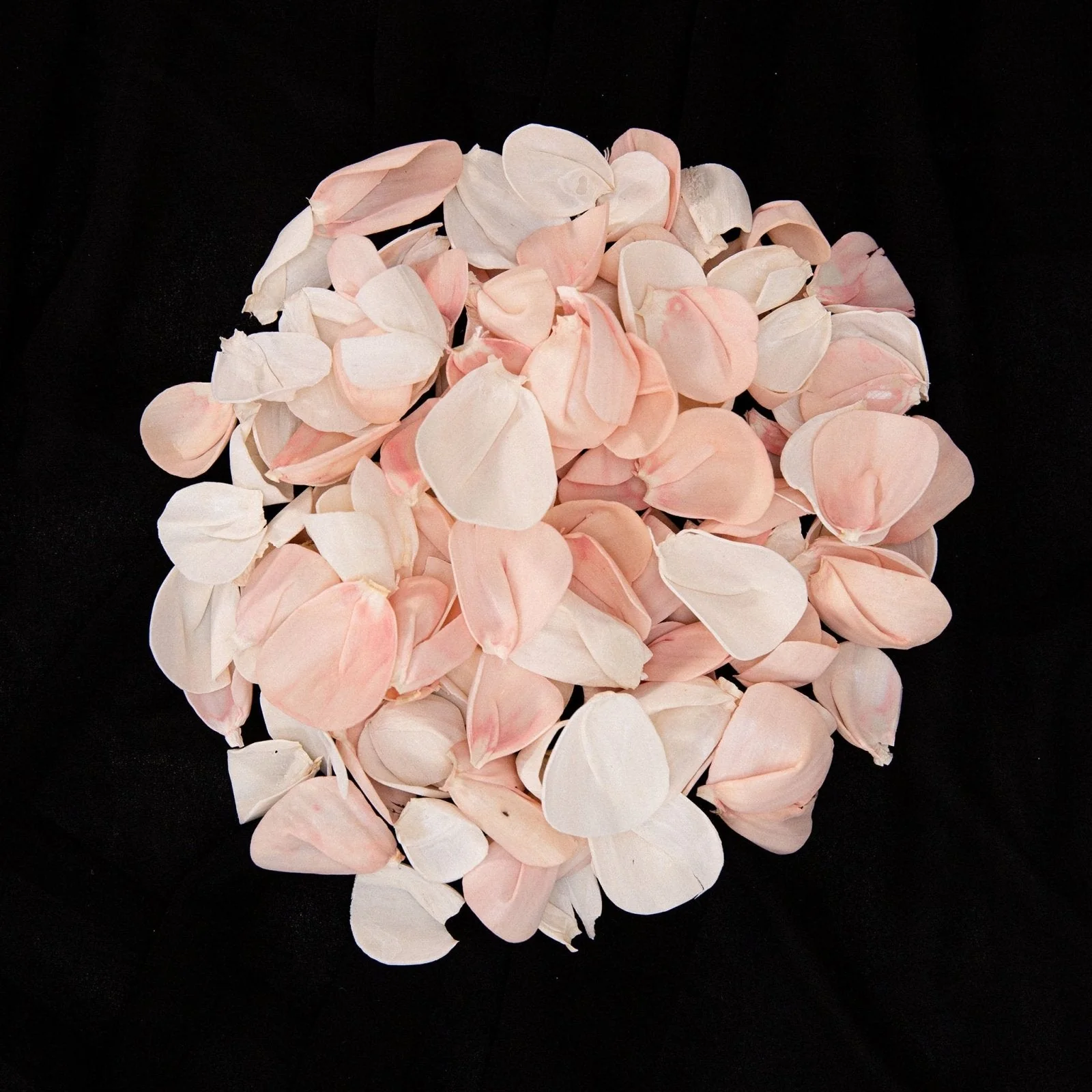 100 Petal Pack - Blush Beauty - Image 2