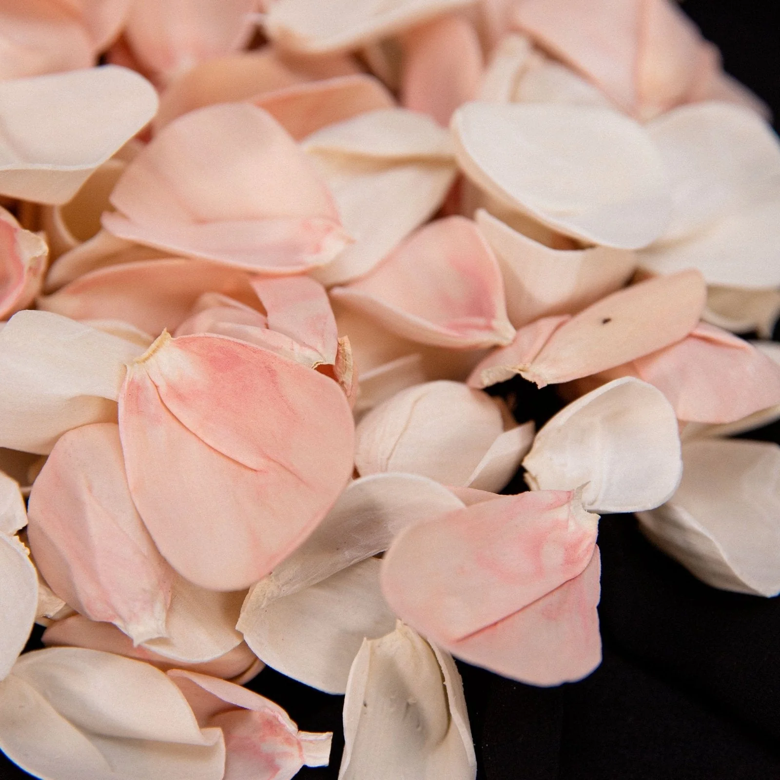 100 Petal Pack - Blush Beauty - Image 3