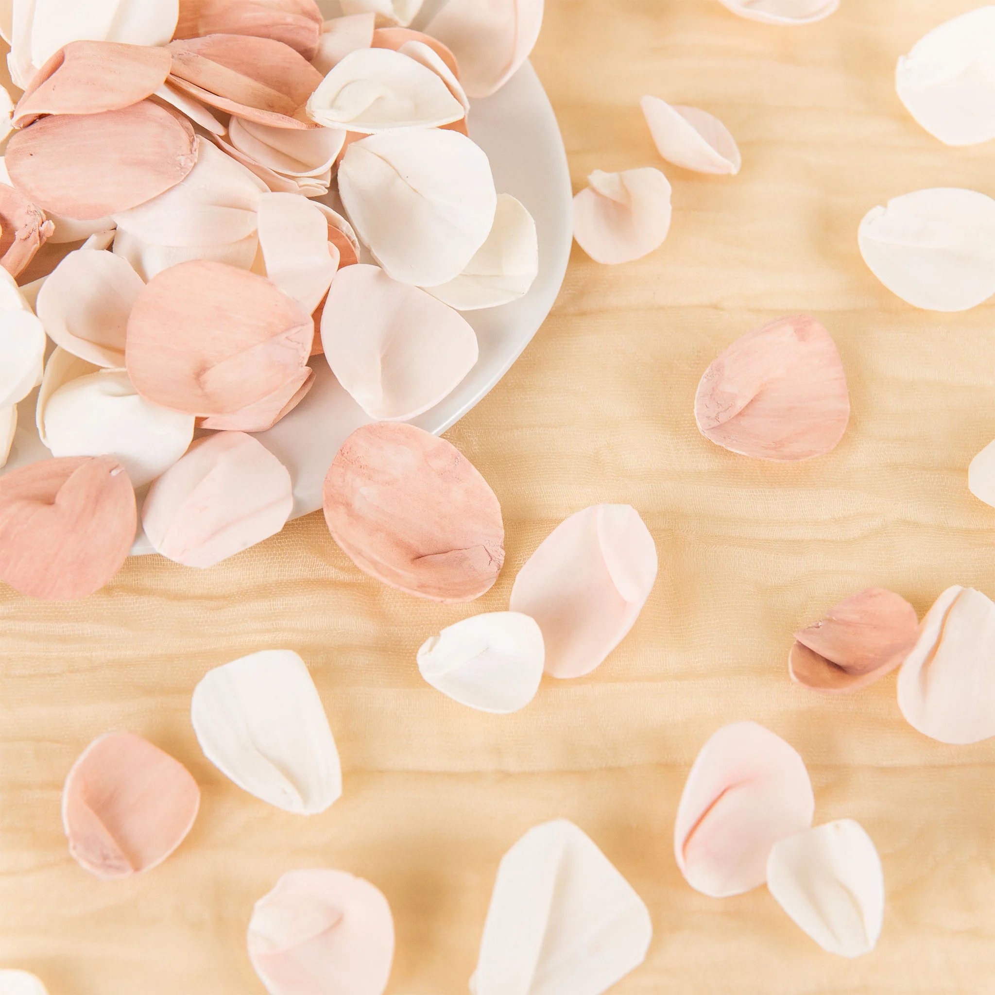 100 Petal Pack - Luxe Blush - Image 2