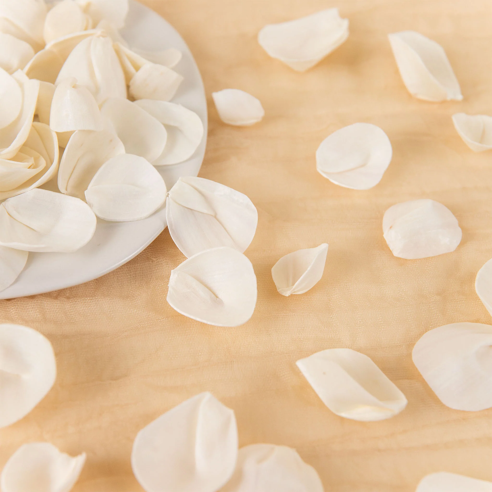 100 Petal Pack - Perfect Simplicity - Image 2