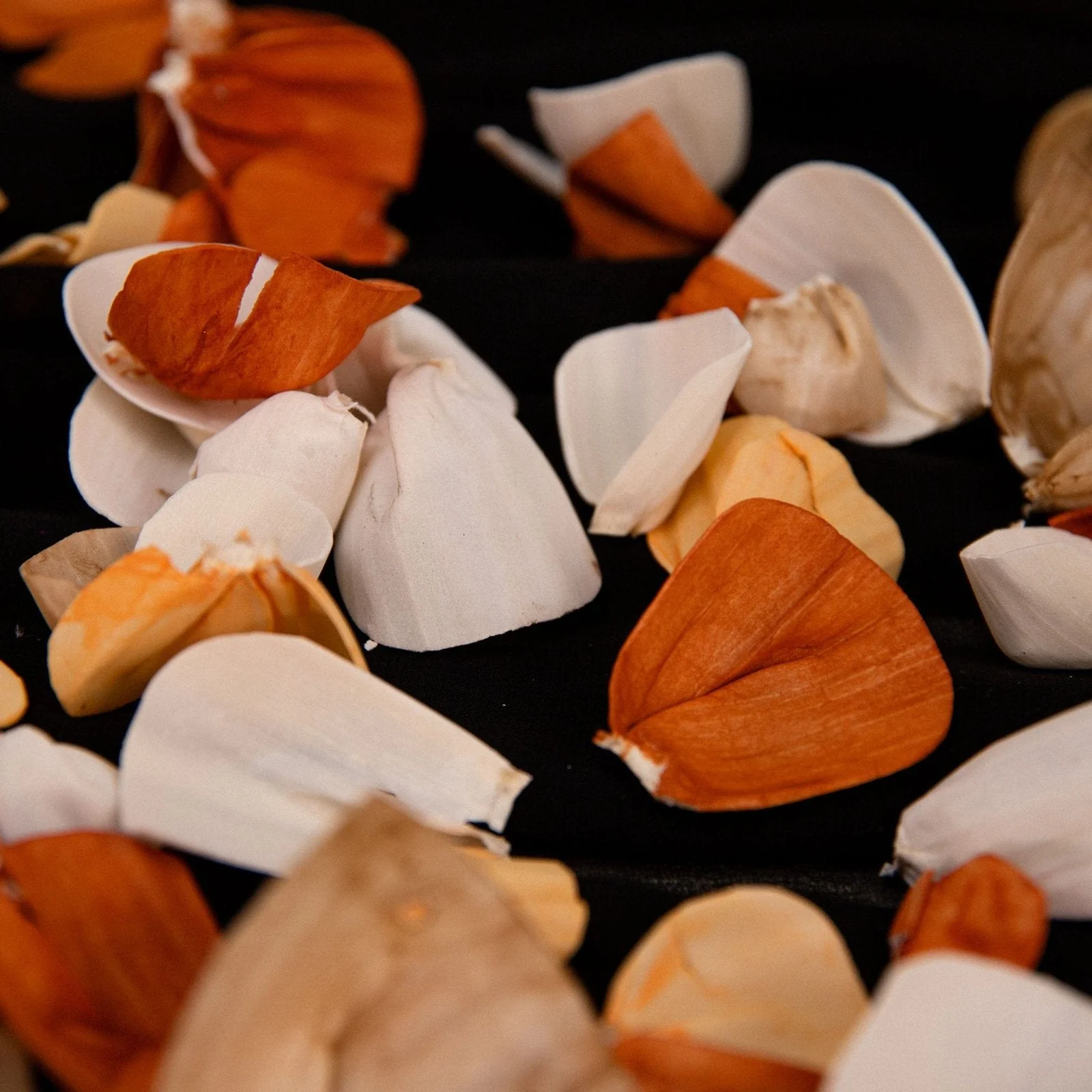 100 Petal Pack - Sun Kissed - Image 3
