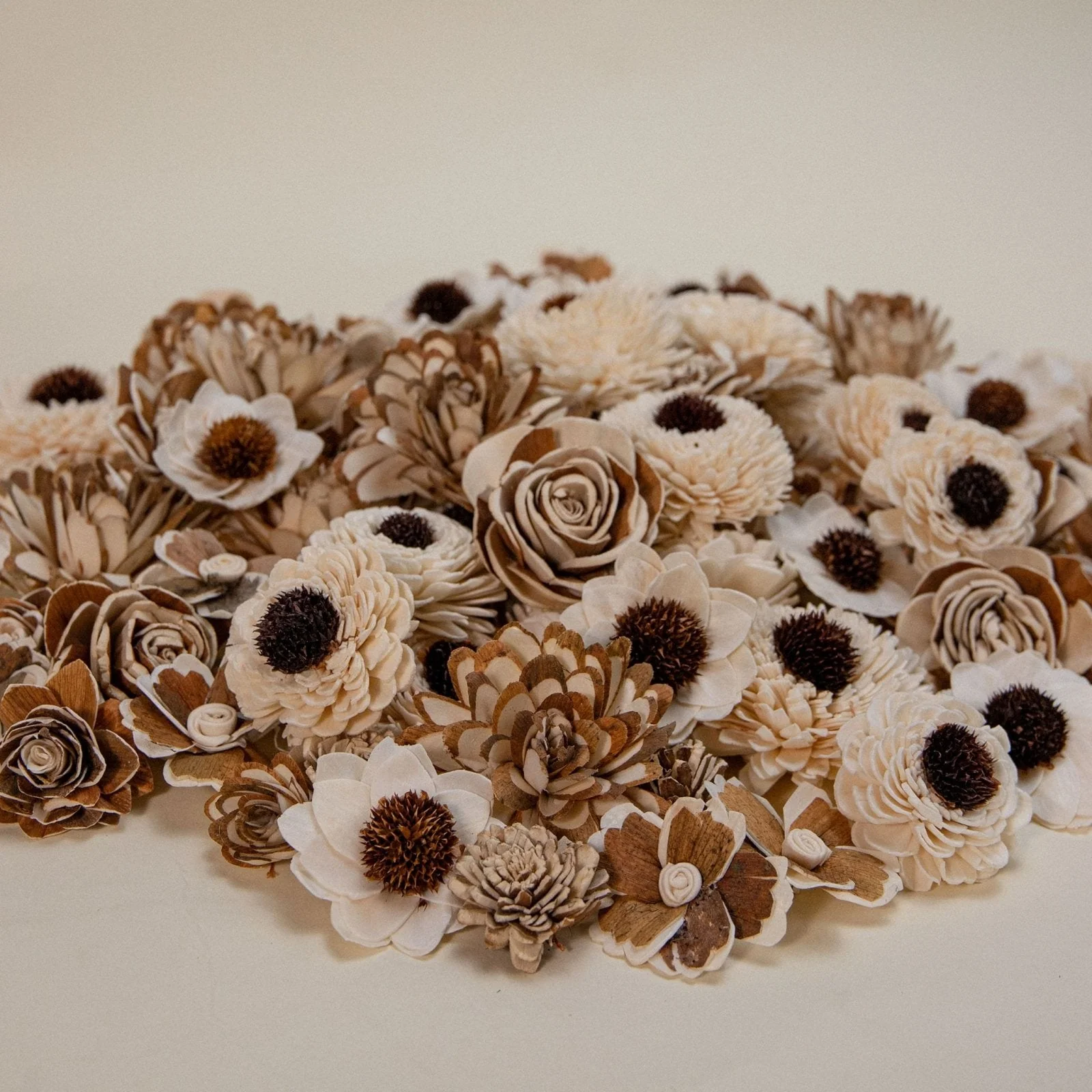 100 Random Assortment (All Bark) - Image 3