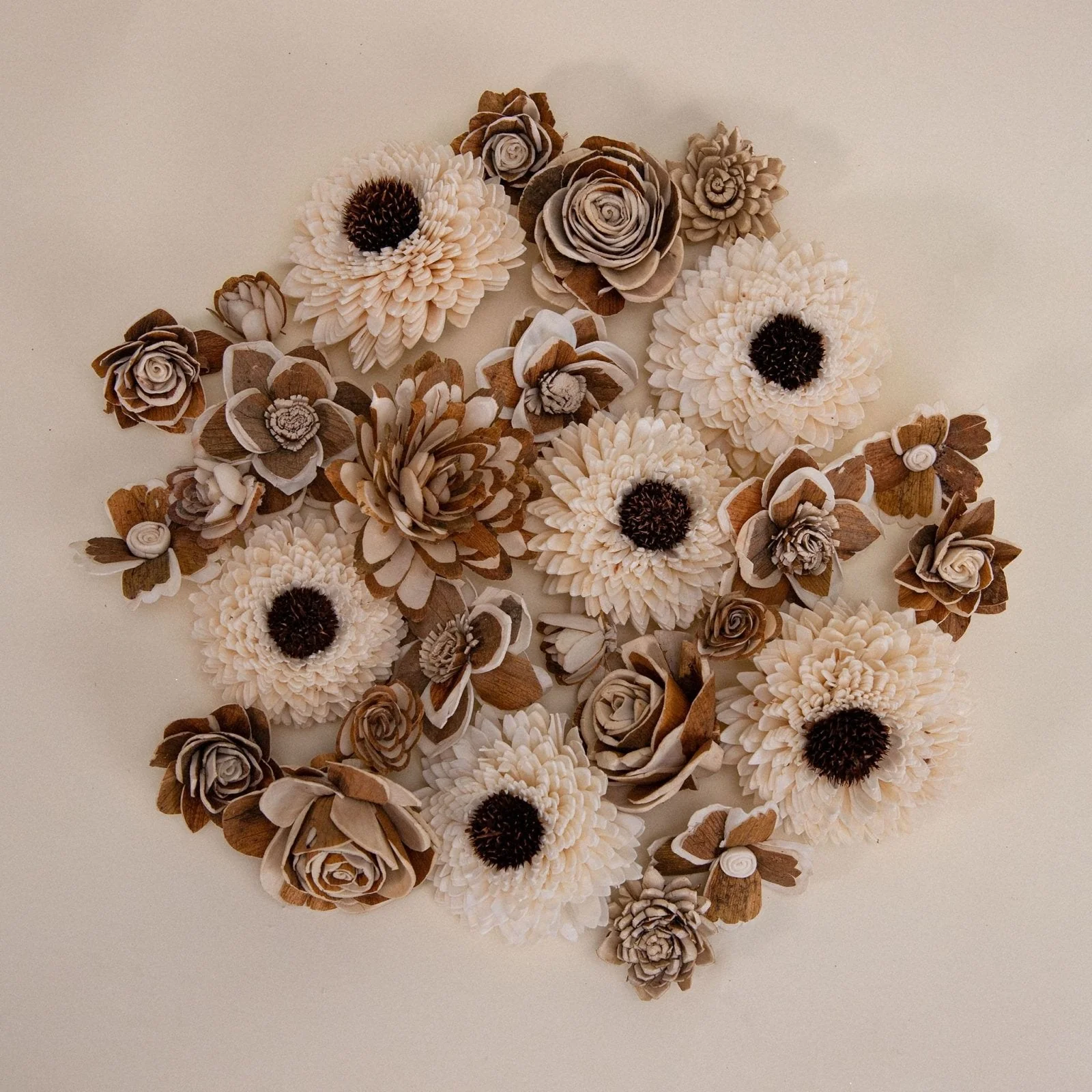 100 Random Assortment (All Bark) - Image 4