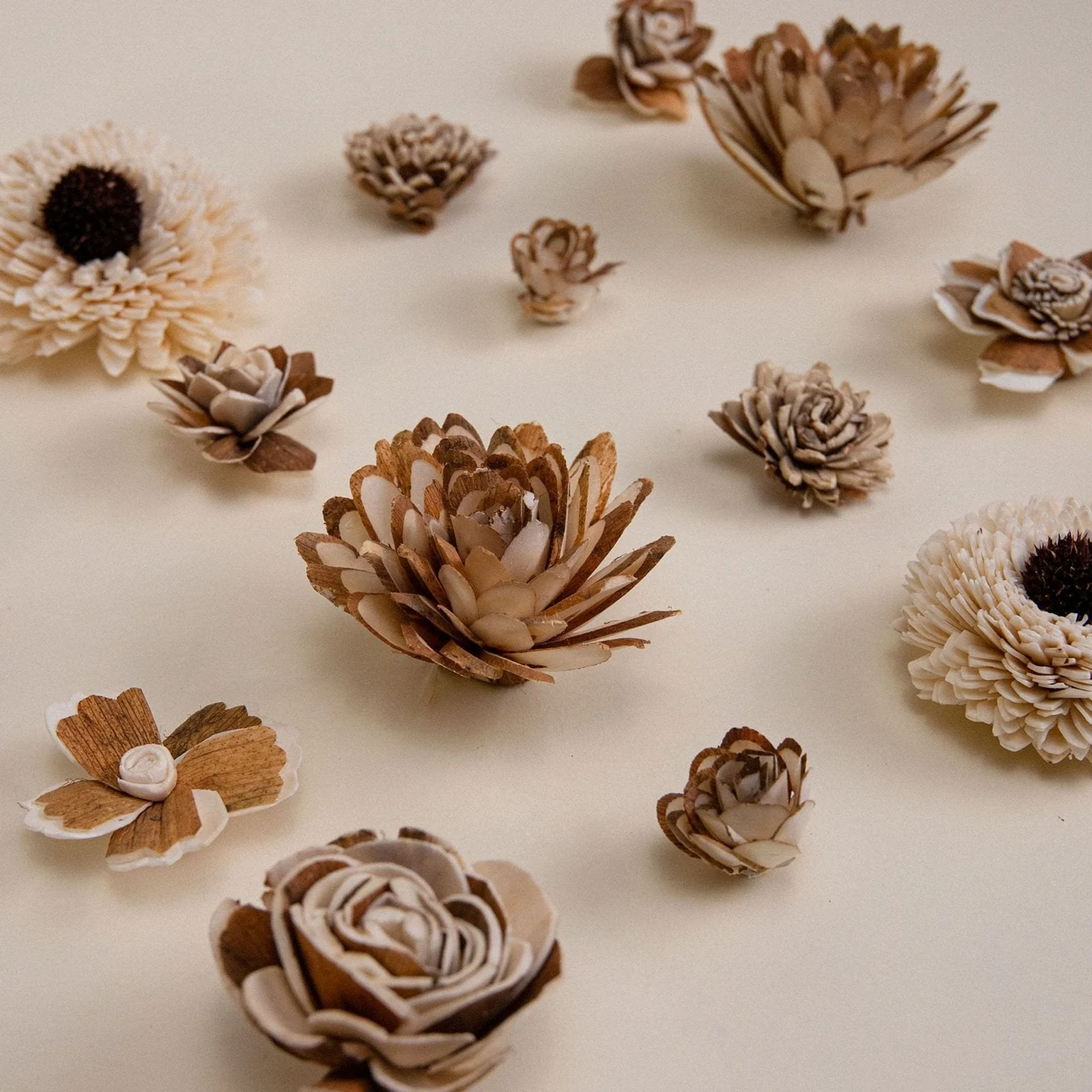 100 Random Assortment (All Bark) - Image 5