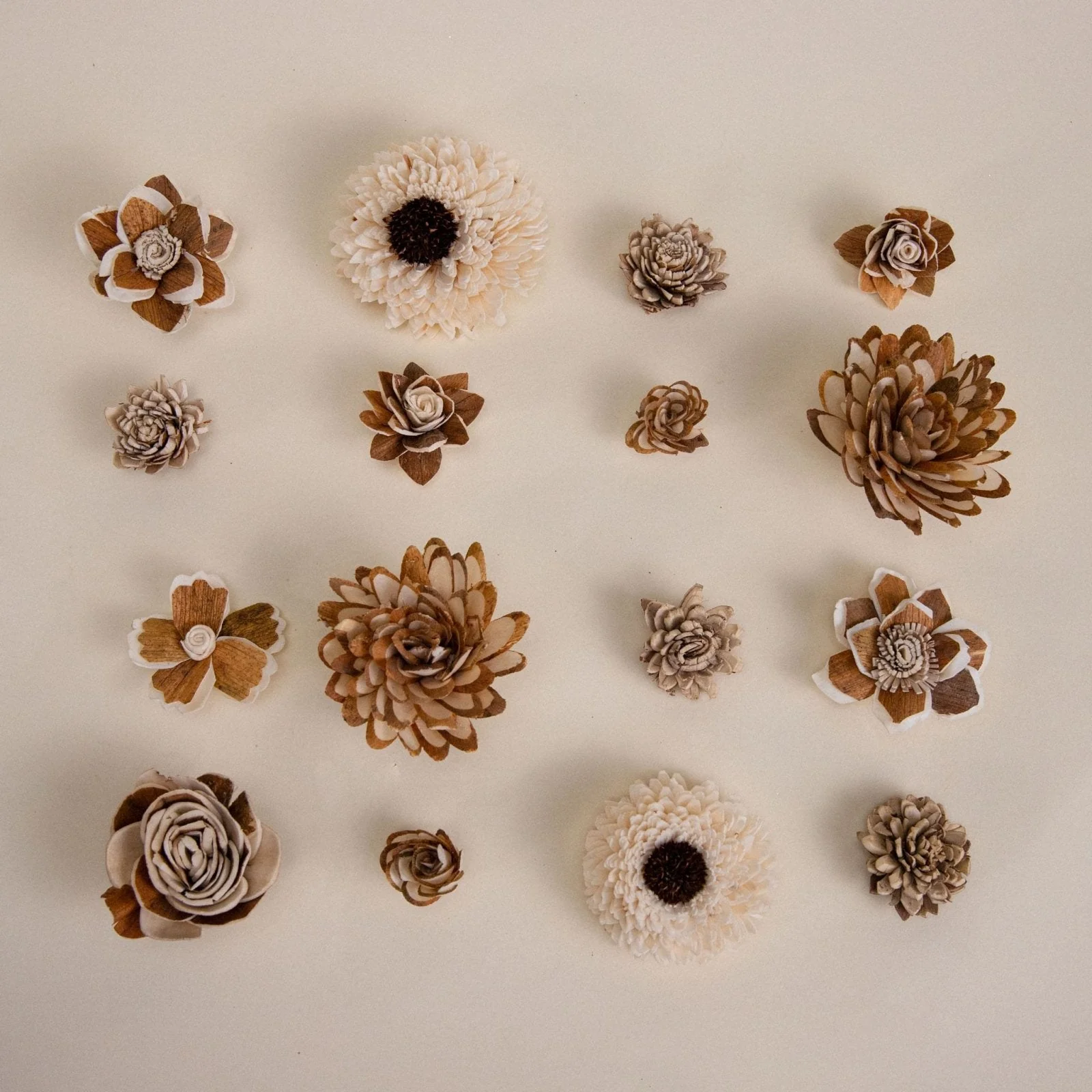 100 Random Assortment (All Bark) - Image 6