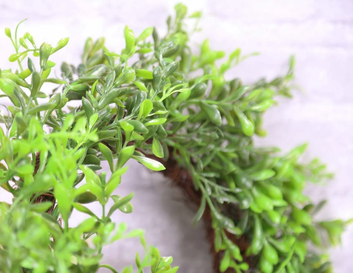 12" Boxwood Wreath - Image 2