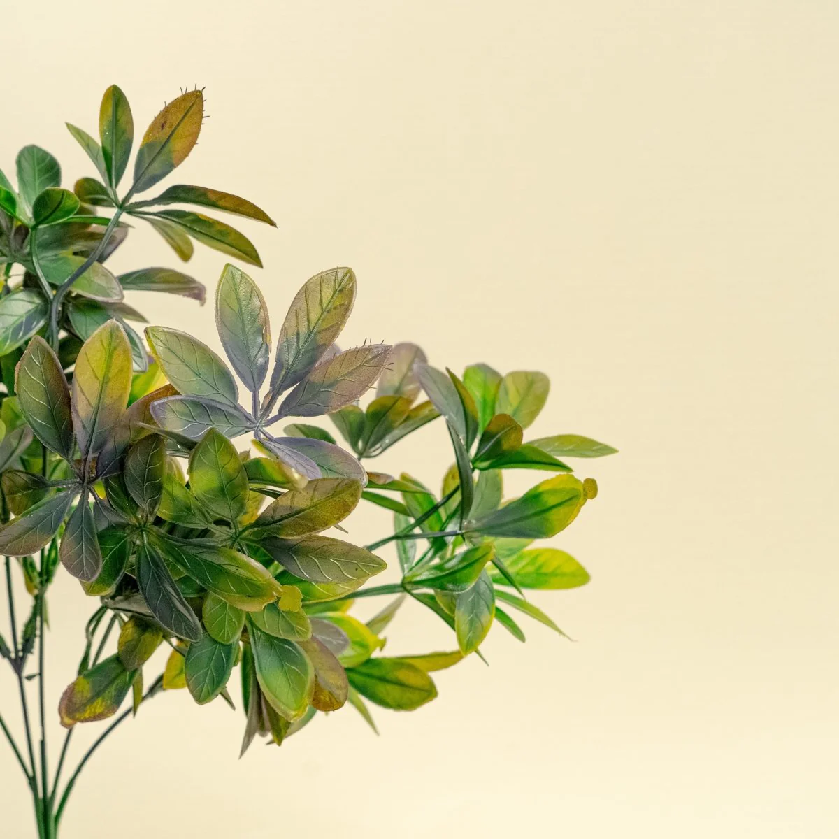 14" Leaves Bush - Purple - Image 5