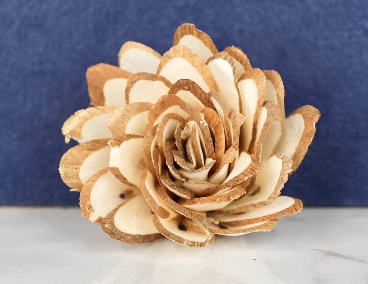 2" Almond (1000 Flower Box) - Image 2