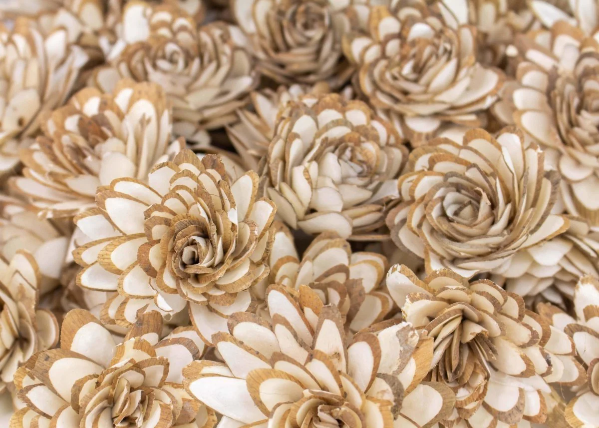 2" Almond - 50 Pack - Image 2