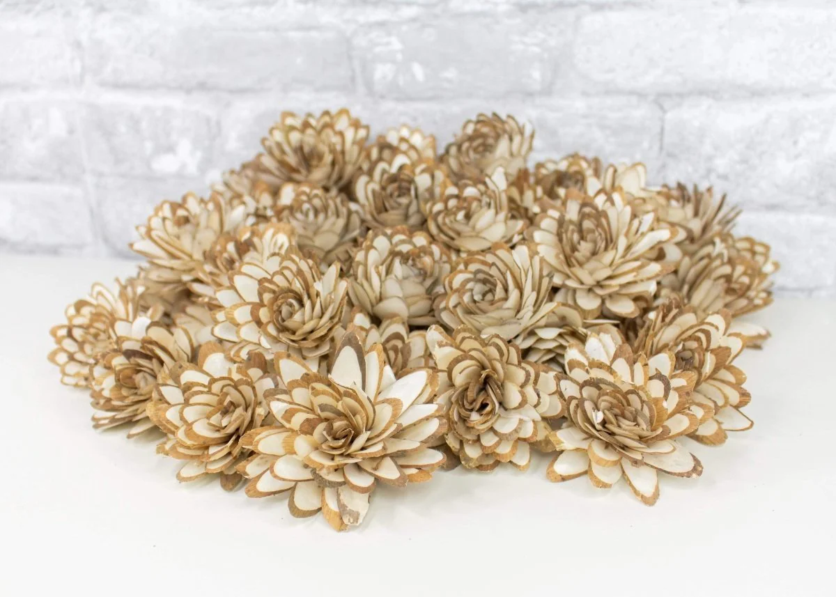 2" Almond - 50 Pack - Image 3