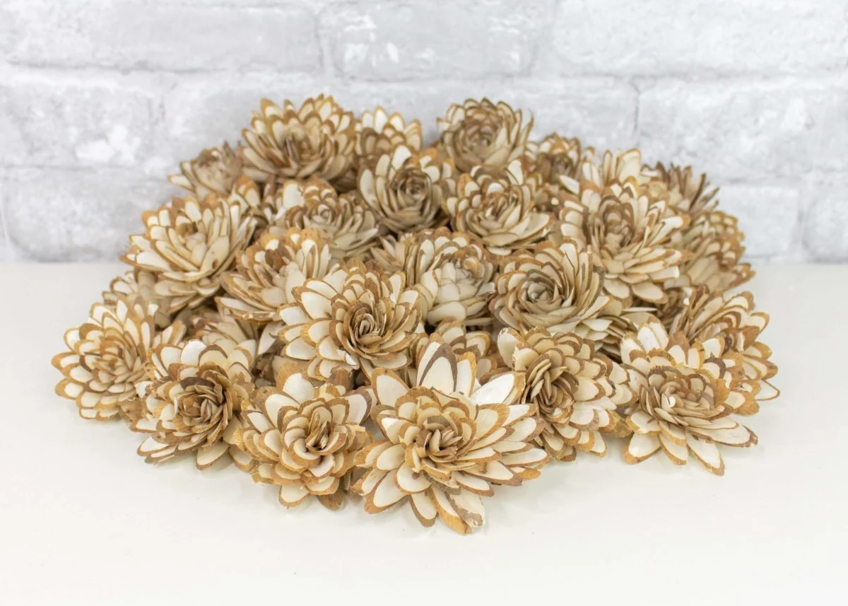 2" Almond - 50 Pack - Image 4