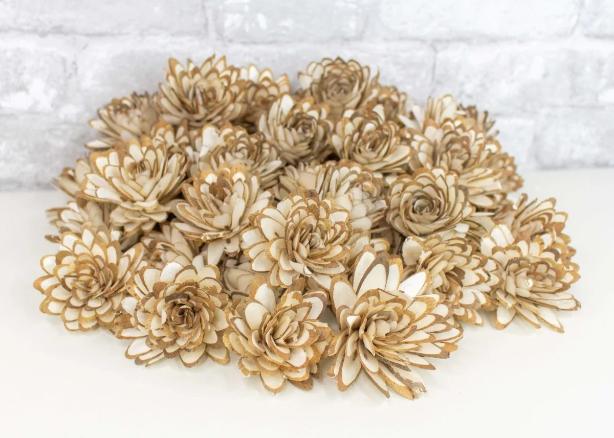 2" Almond - 50 Pack - Image 5