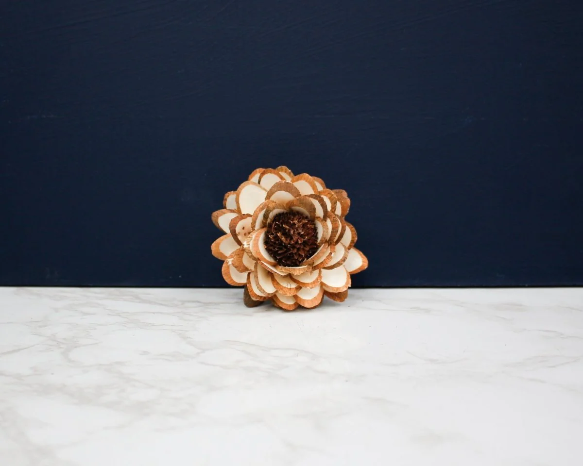 2" Almond Daisy (10 Pack) - Image 2