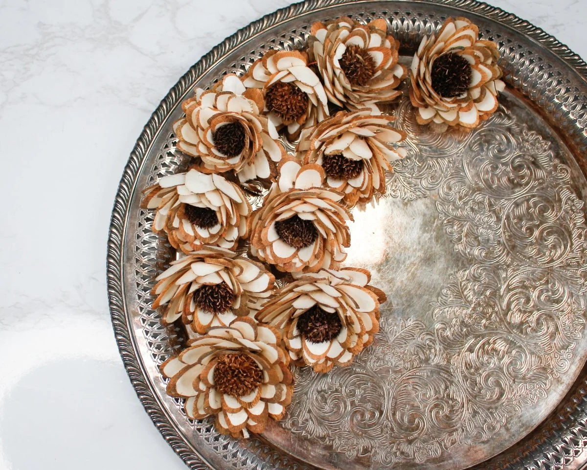 2" Almond Daisy (10 Pack) - Image 3