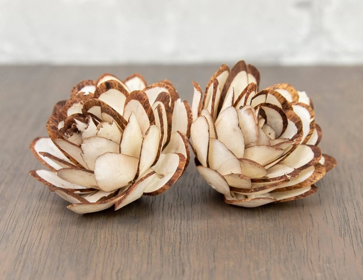 2" Almond w/ Mahogany Tips (10 Pack) - Image 2