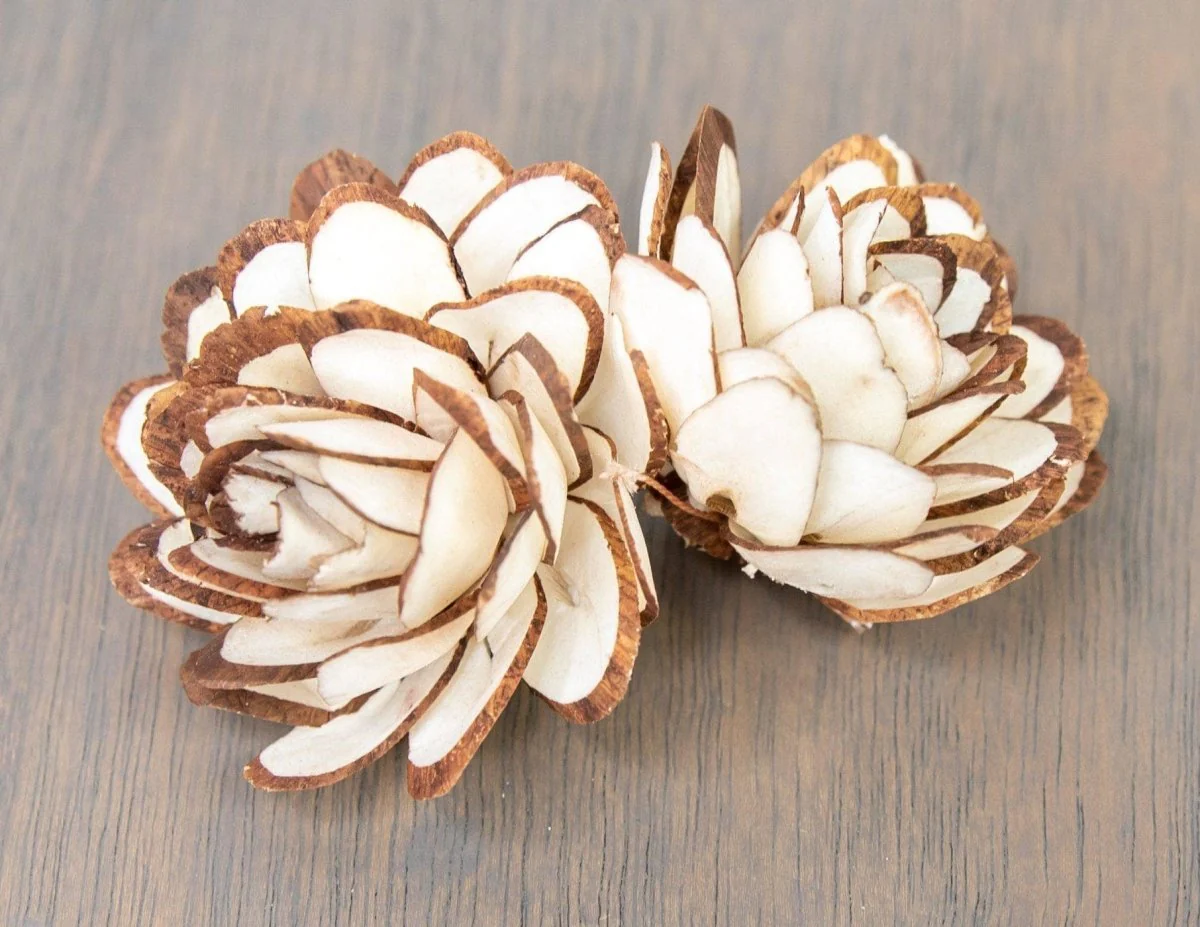2" Almond w/ Mahogany Tips (10 Pack) - Image 3
