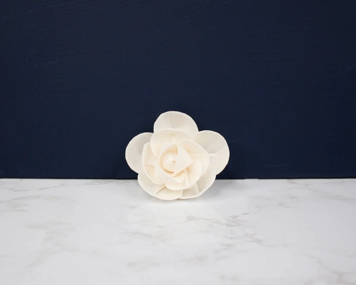 2" Amelia (10 Pack) - Image 2