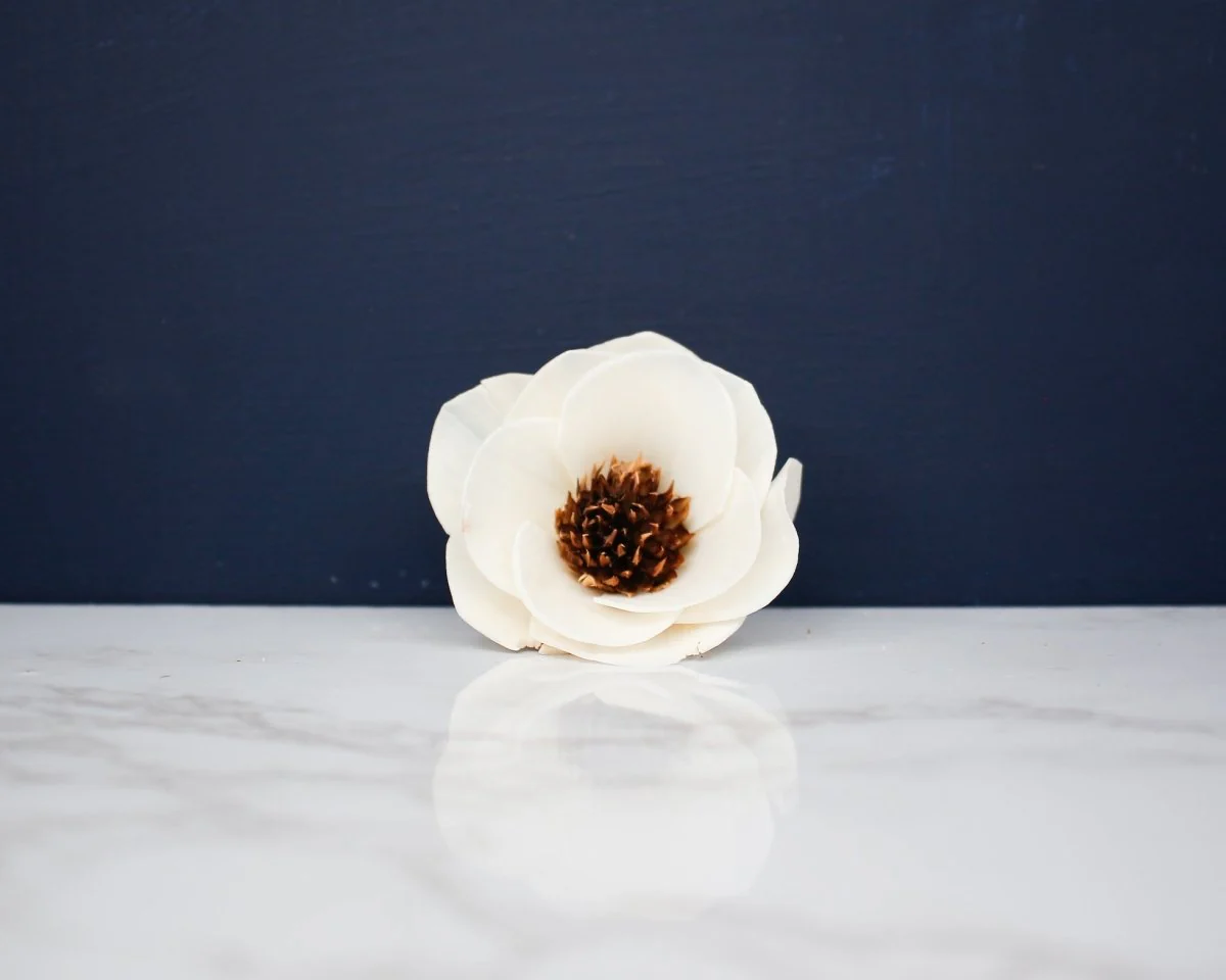 2" Anemone (10 pack) - Image 2