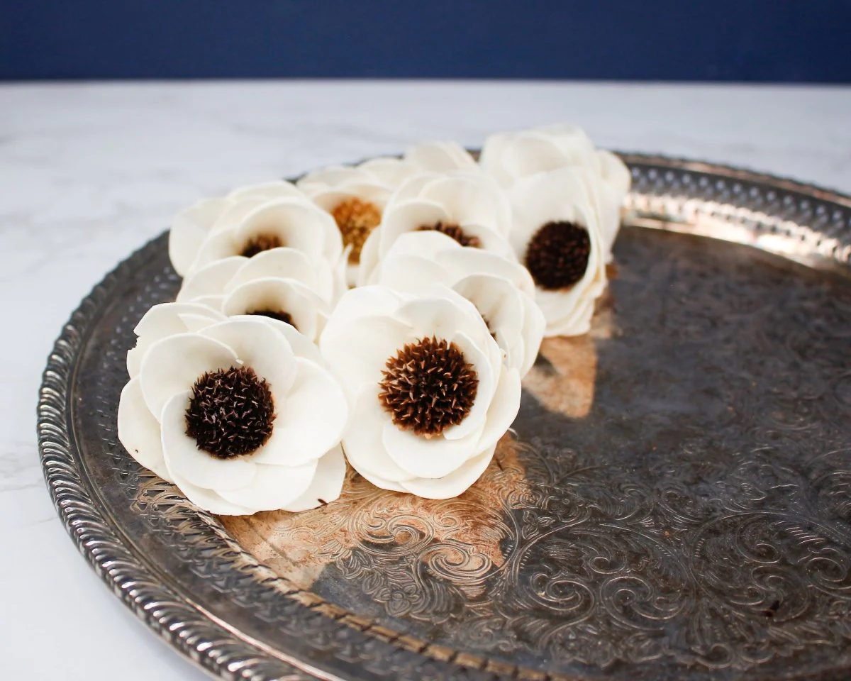 2" Anemone (200 Pack) - Image 3