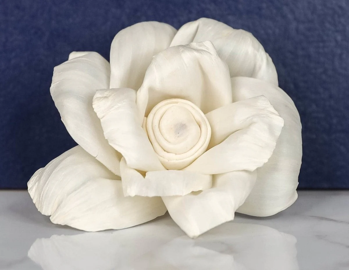2" Astoria (10 Pack) - Image 2