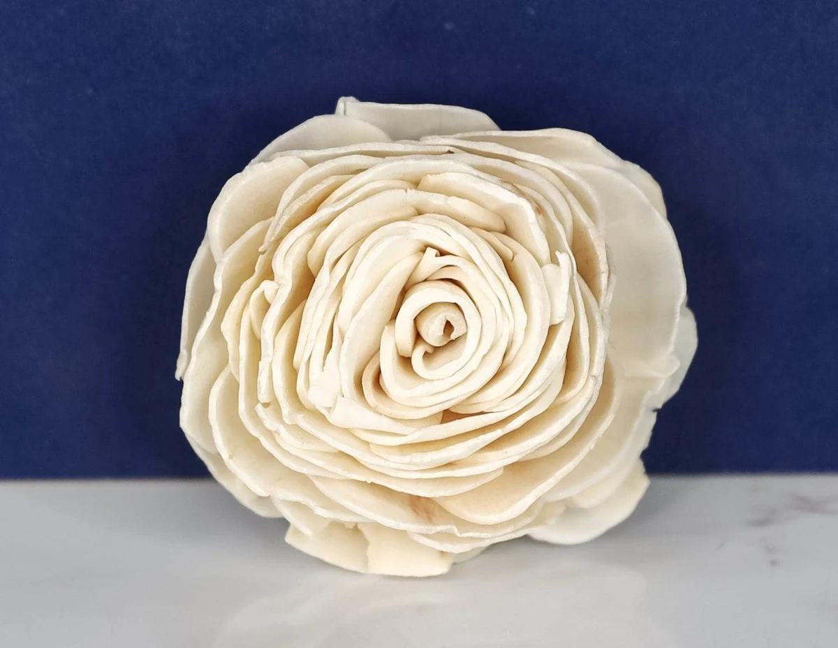 2" Aurora (10 pack) - Image 2