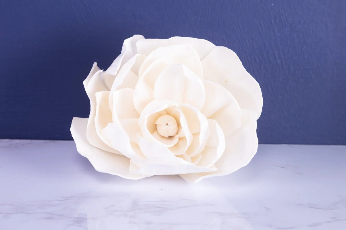 2" Bartzella Peony (10 Pack) - Image 5