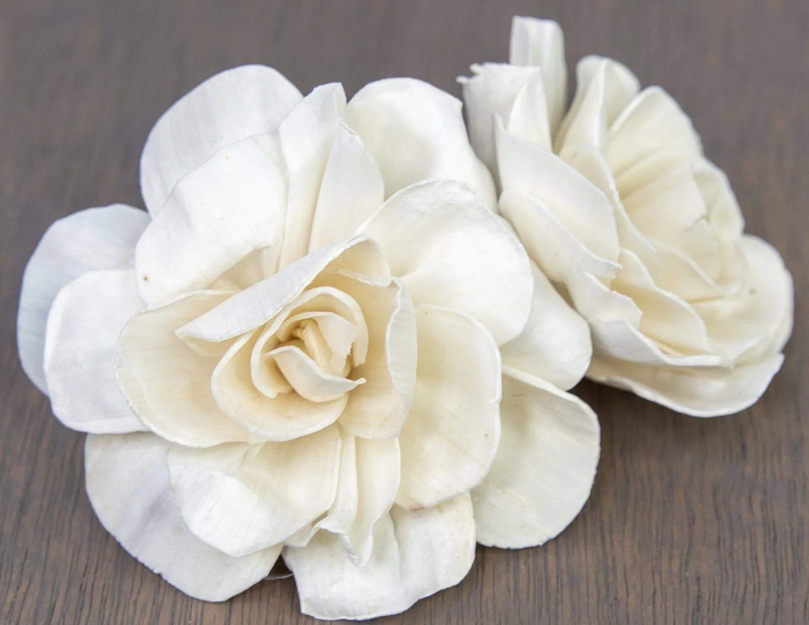 2" Belmont Gardenia (10 Pack) - Image 2