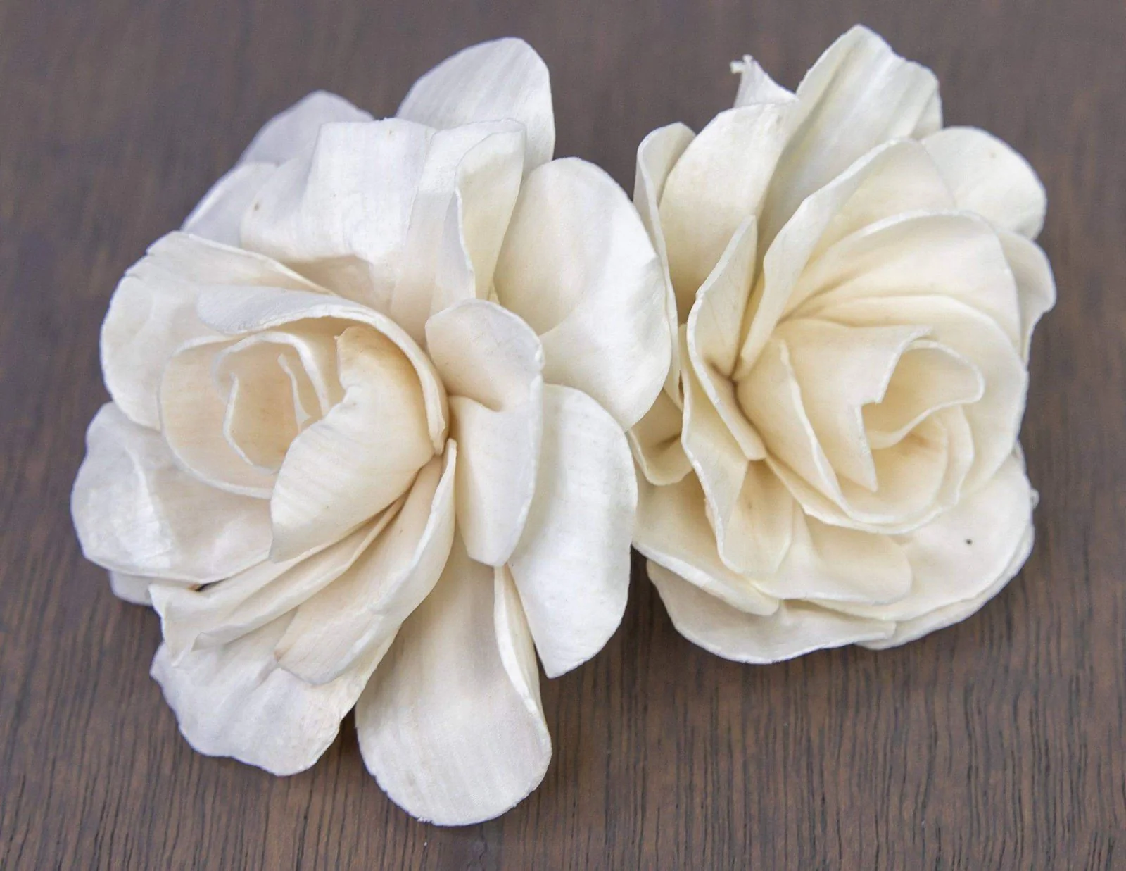 2" Belmont Gardenia (10 Pack) - Image 3