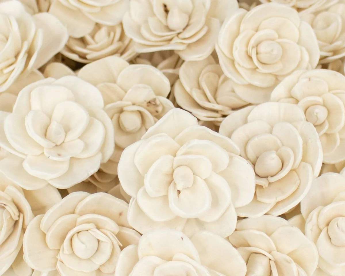 2" Betty The Beautiful - 50 Pack - Image 2