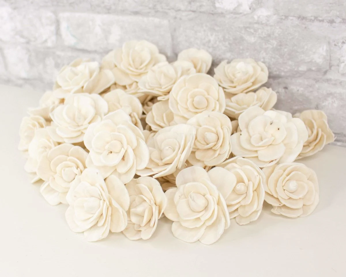 2" Betty The Beautiful - 50 Pack - Image 3