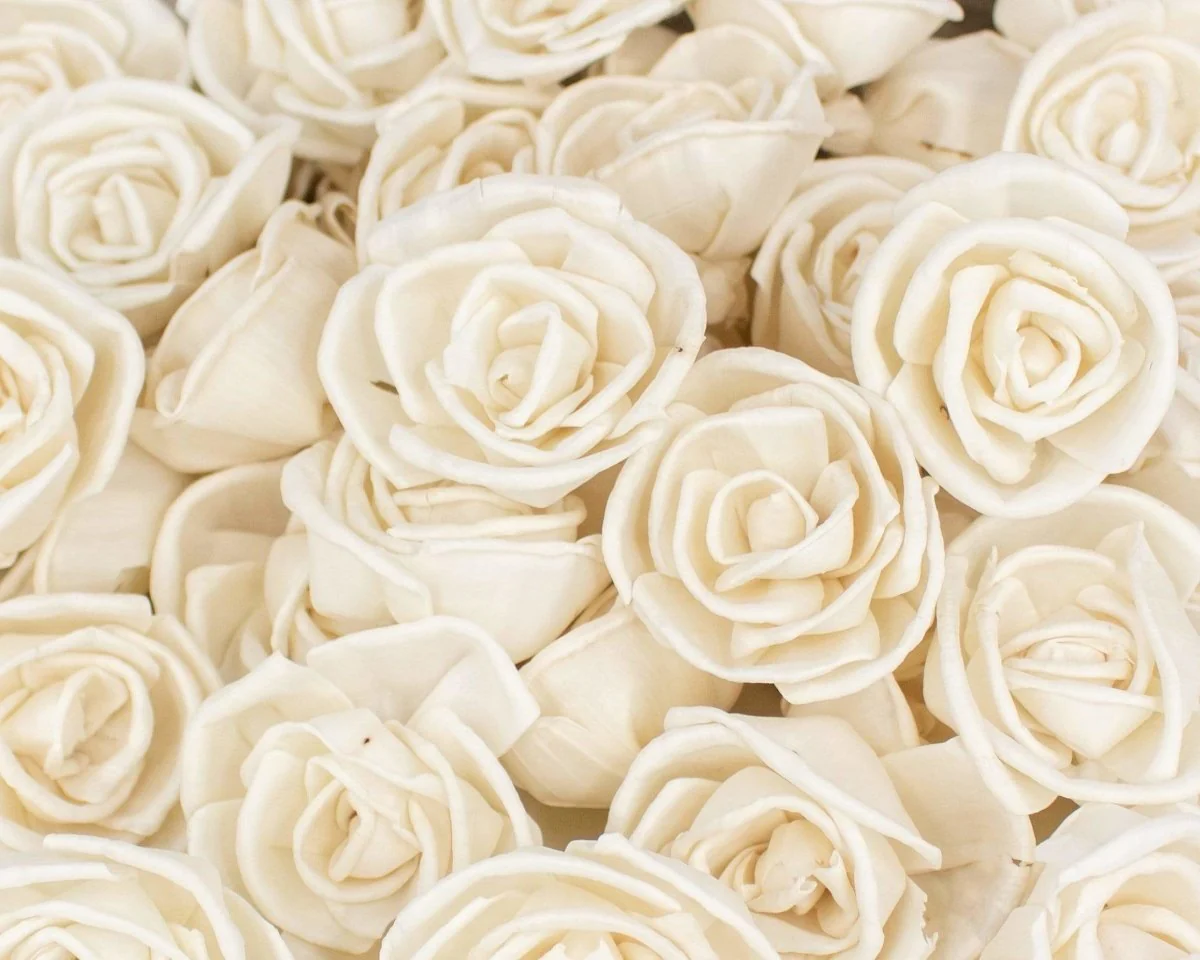 2" Bird Rose - 50 Pack - Image 2