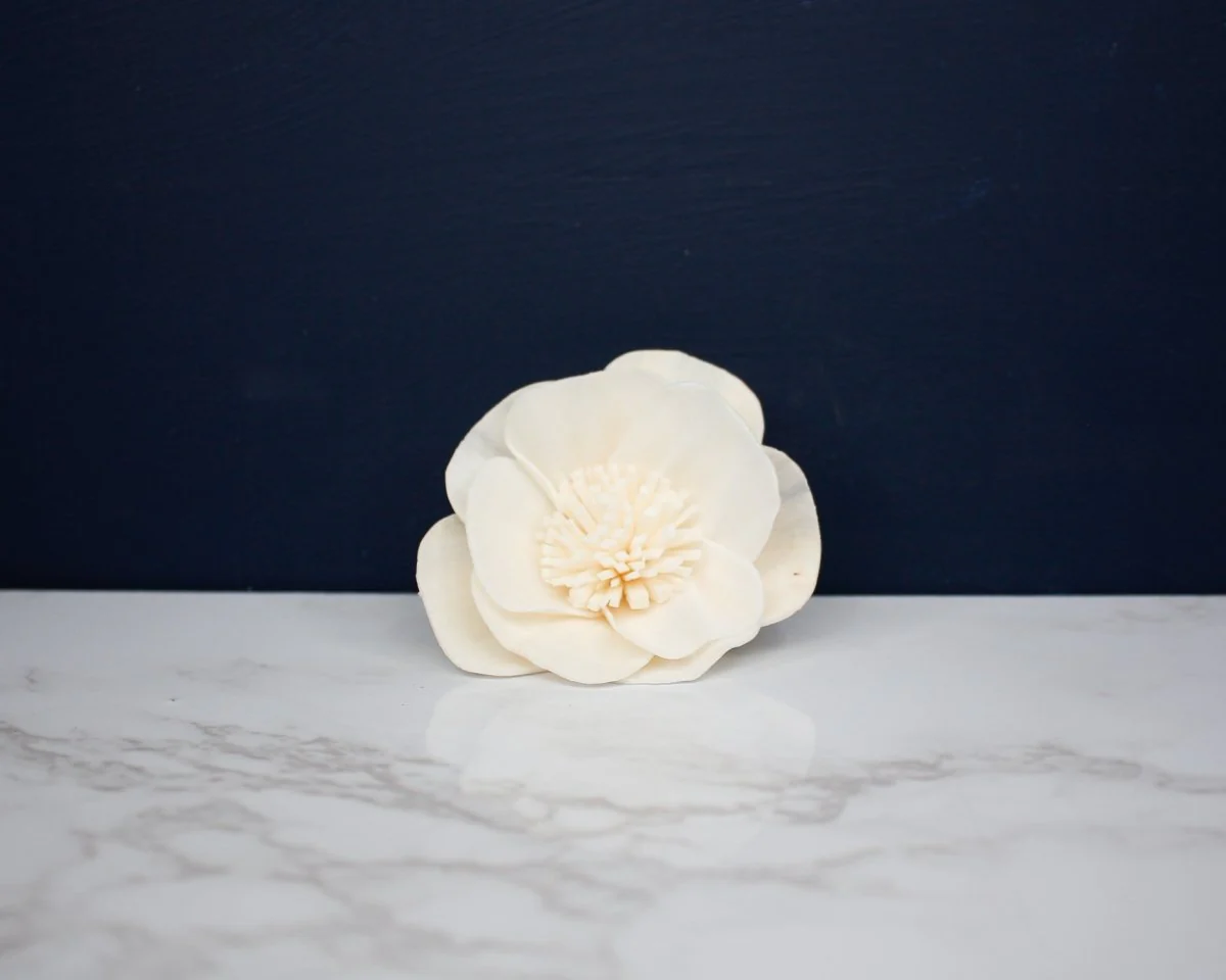 2" Burnet Rose (10 Pack) - Image 2