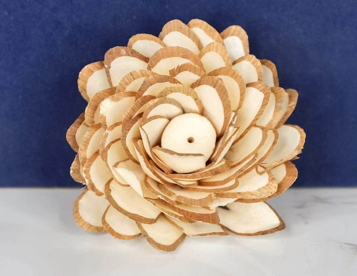 2" Button Almond (10 Pack) - Image 2