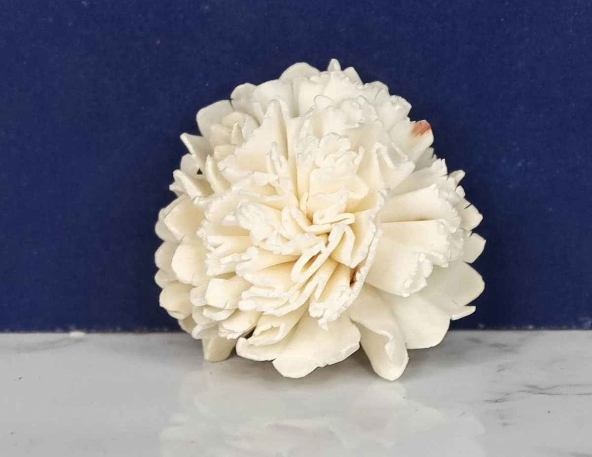 2" Carnation (1000 Flower Box) - Image 2