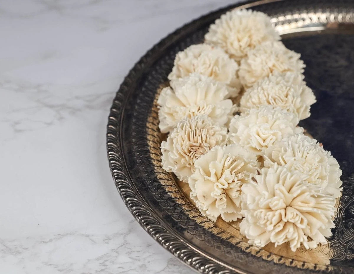 2" Carnation (10 pack) - Image 4