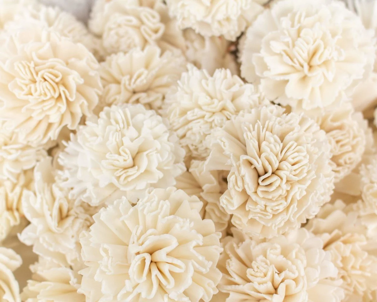 2" Carnation - 50 Pack - Image 2