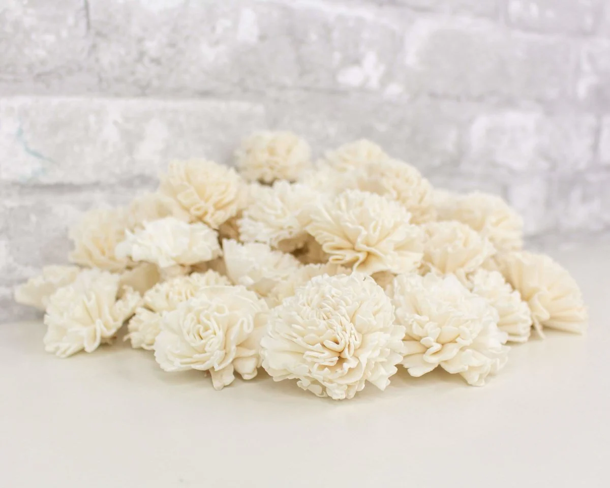 2" Carnation - 50 Pack - Image 3