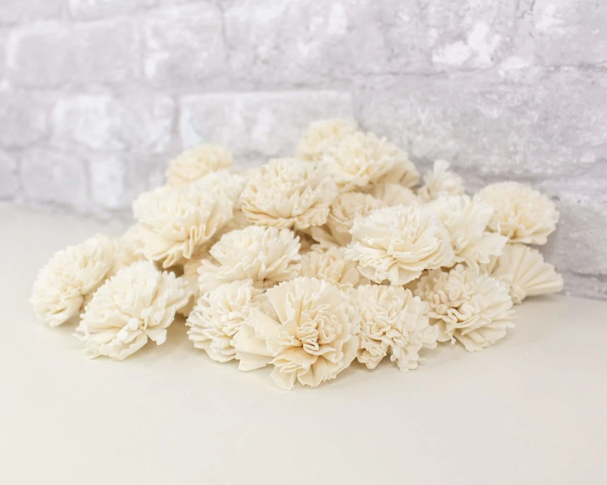 2" Carnation - 50 Pack - Image 4