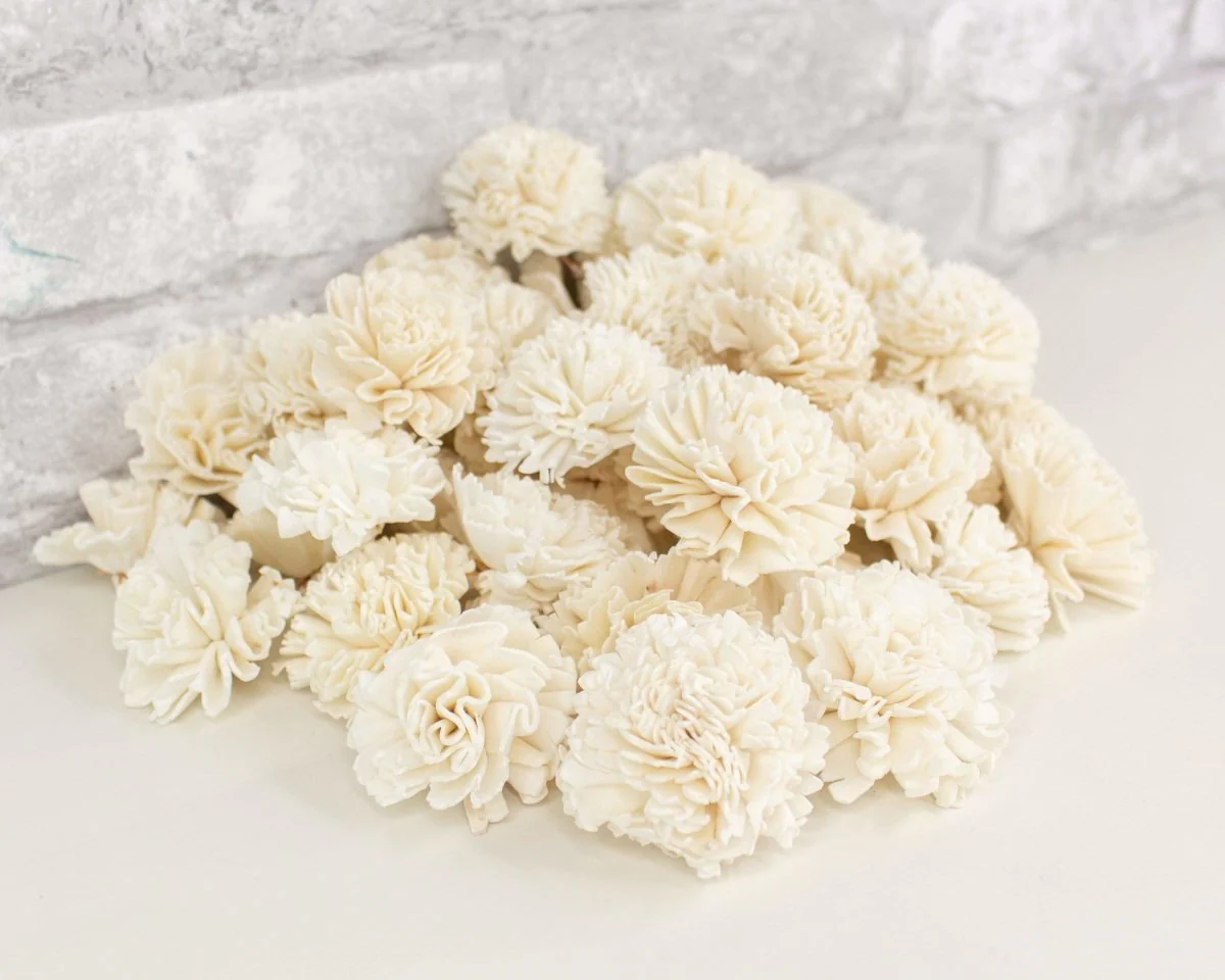 2" Carnation - 50 Pack - Image 5