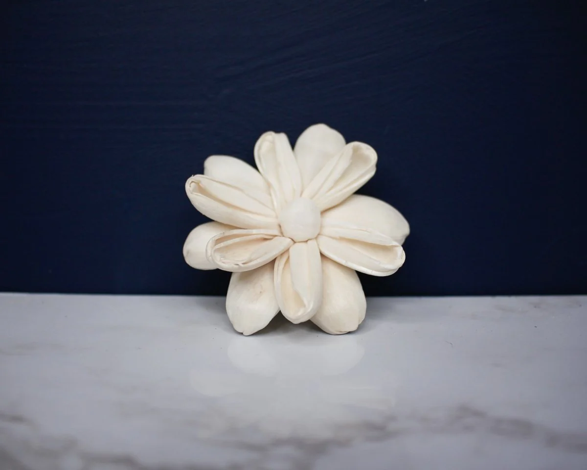 2" Chamomile (10 pack) - Image 2