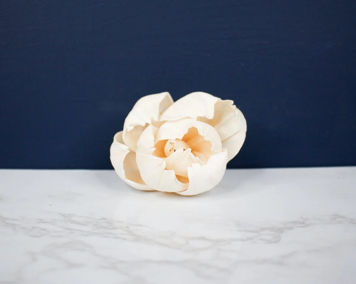 2" Clara (3 pack) - Image 2