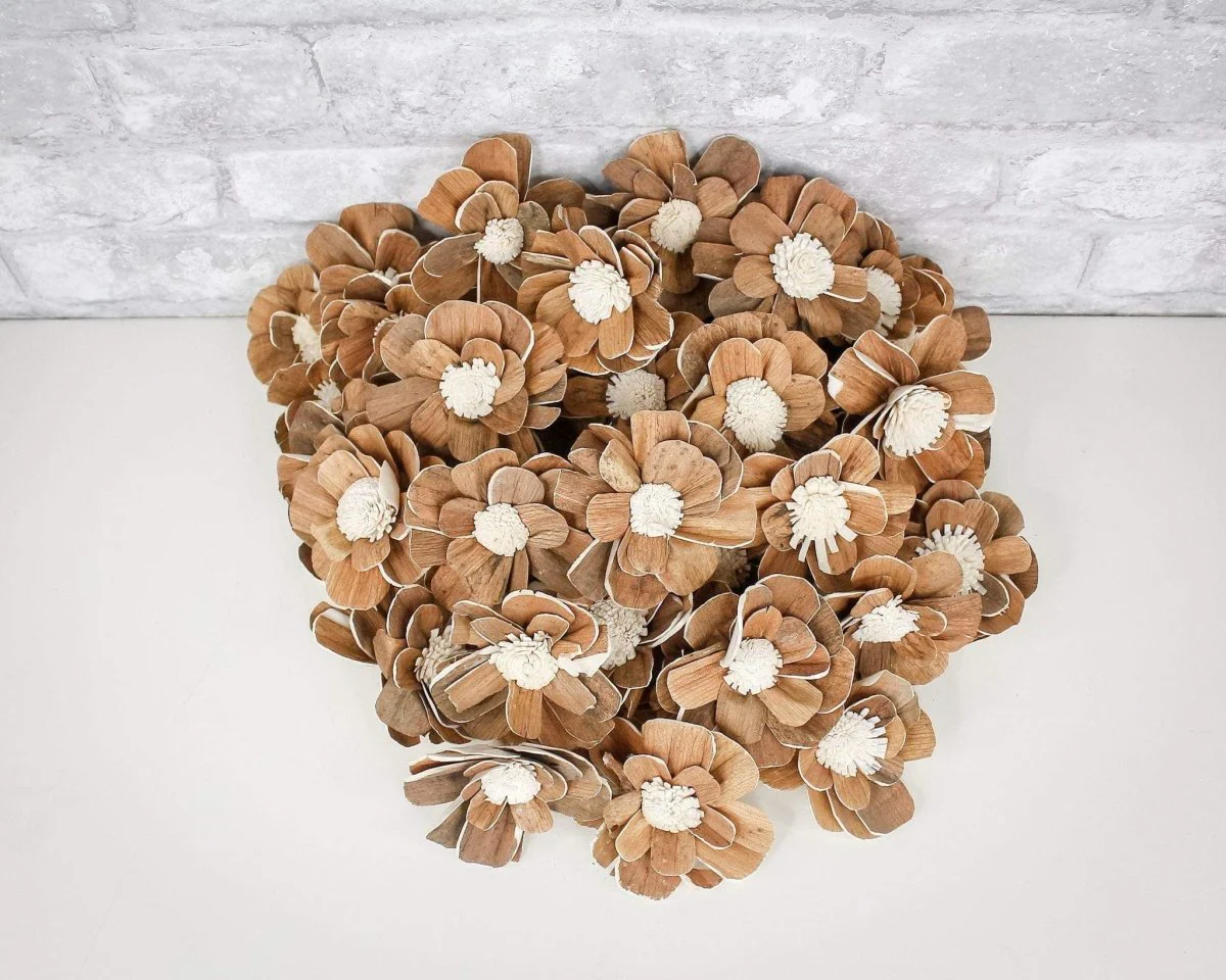 2" Coco - 50 Pack - Image 9