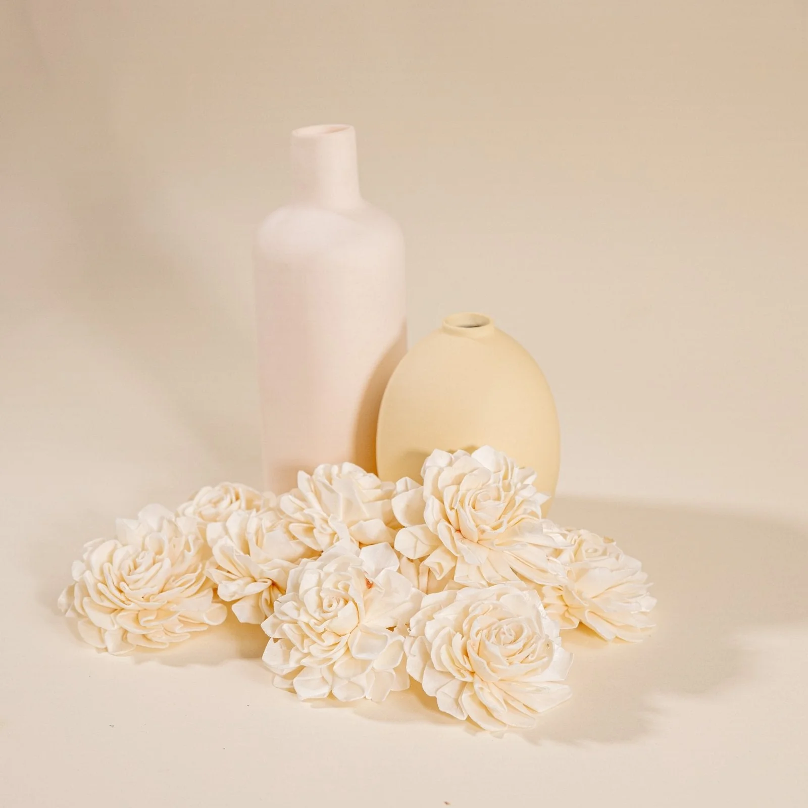 2" Dahlia (10 pack) - Image 2