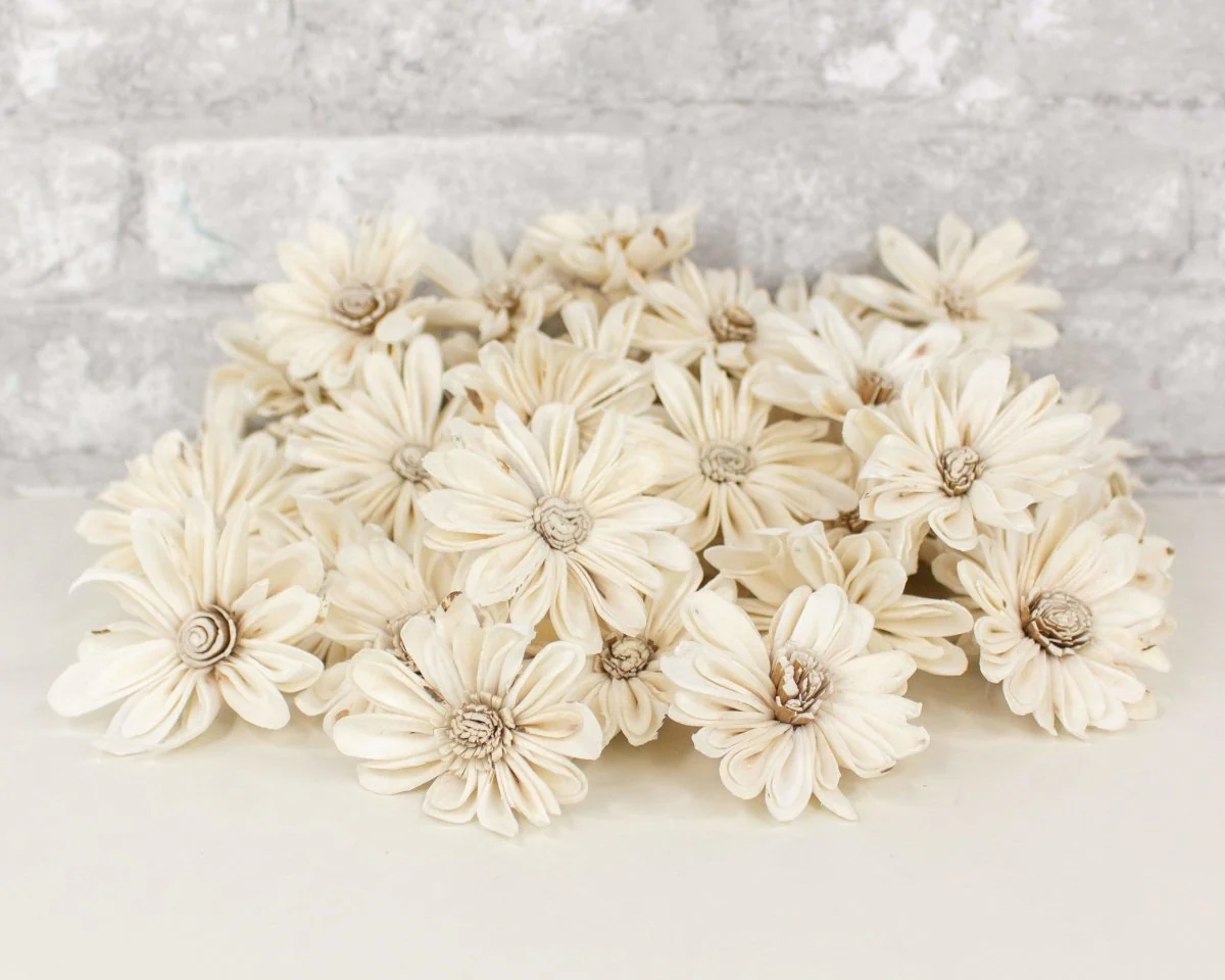 2" Daisy May - 50 Pack