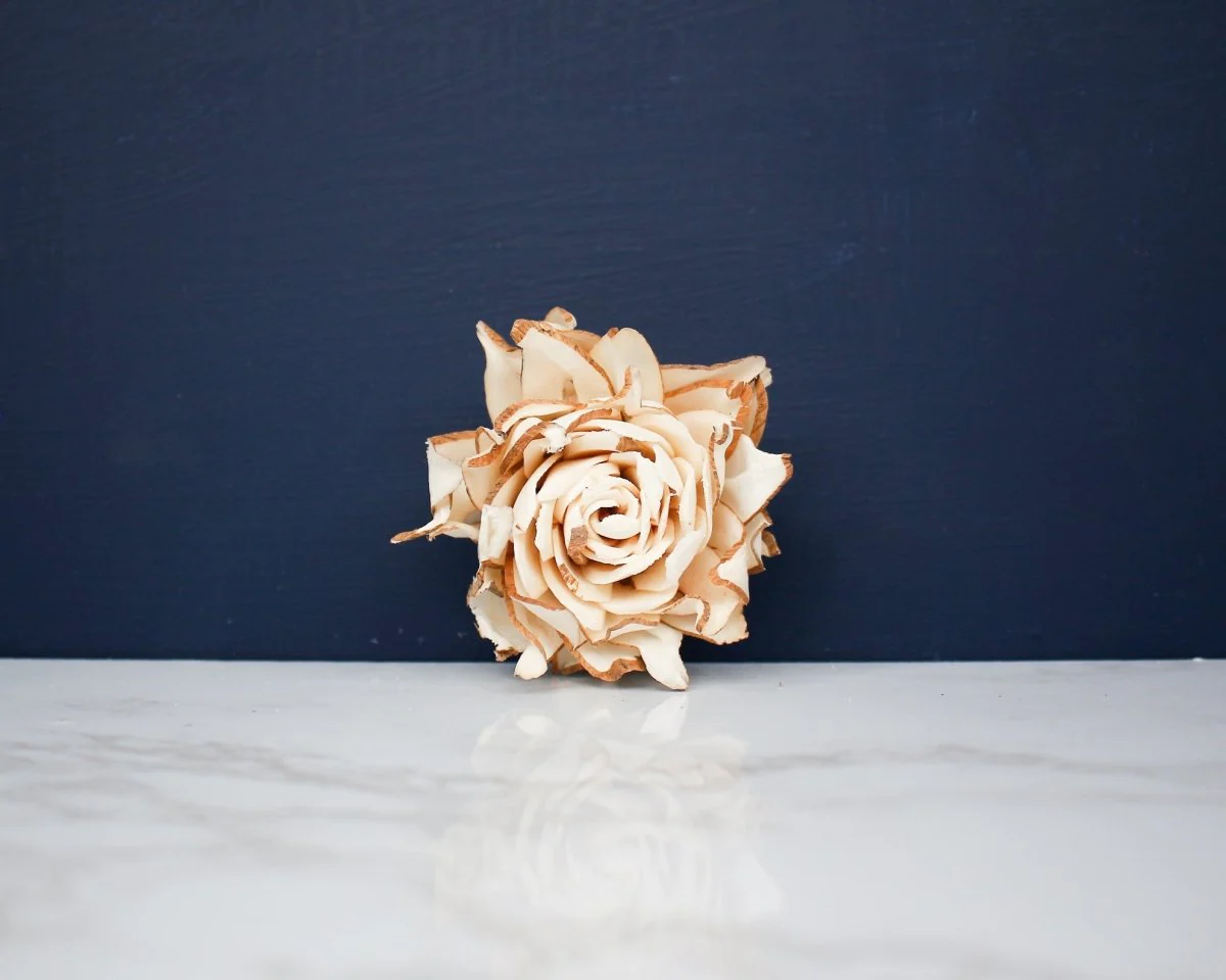 2" Daphney (10 Pack) - Image 2