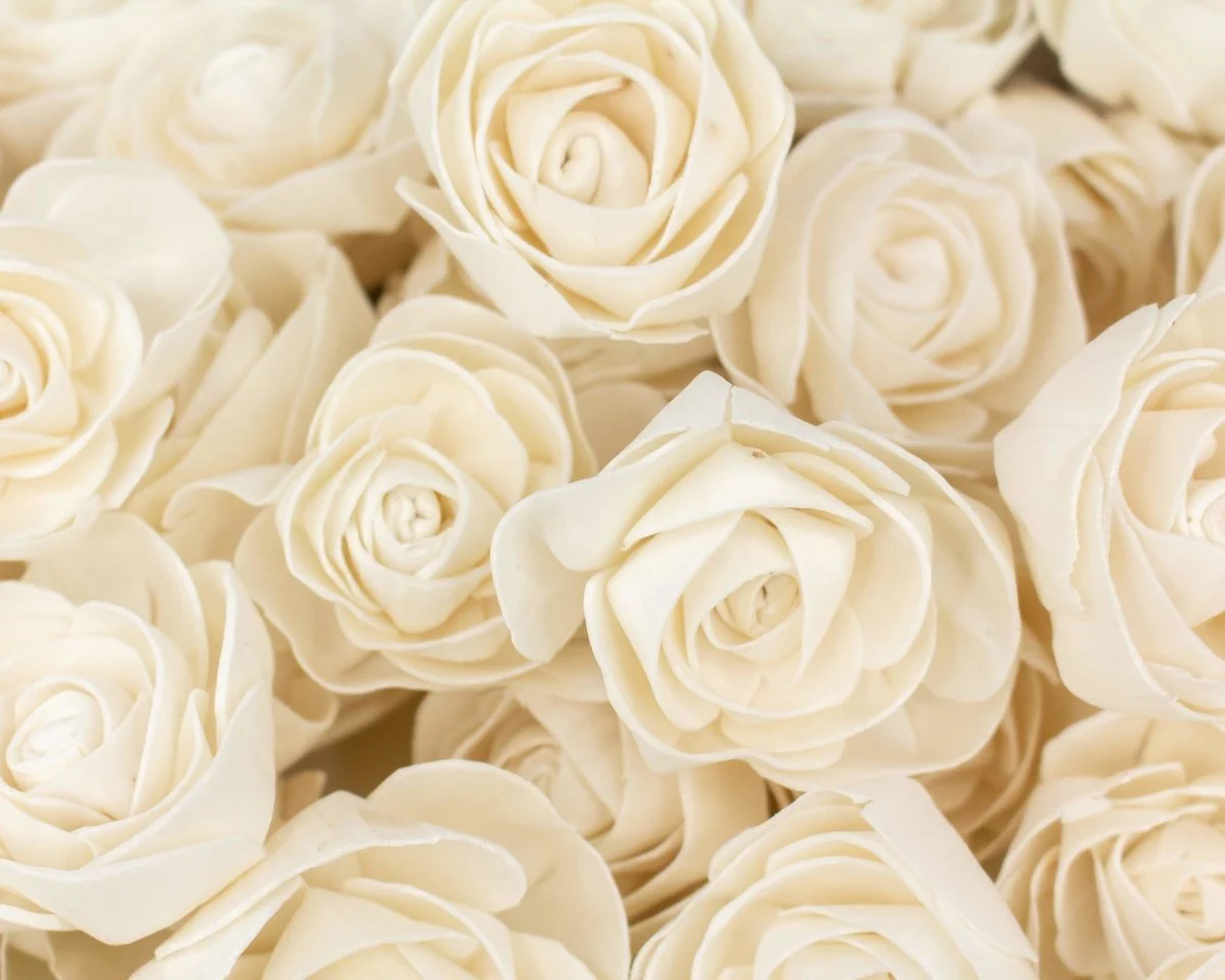 2" Dear Holly - 50 Pack - Image 2
