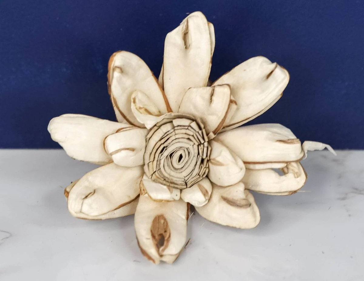 2" Distressed Daisy (10 Pack) - Image 2