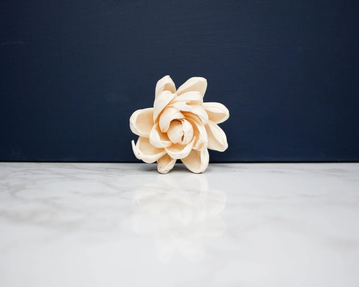 2" Florence (200 Pack) - Image 2