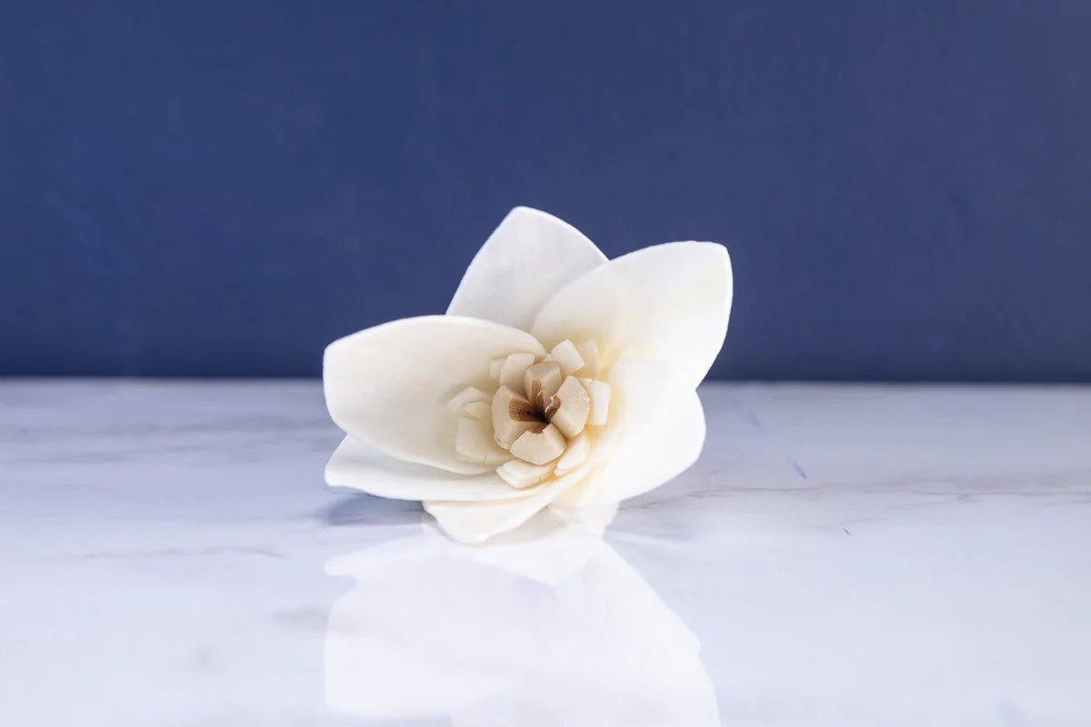 2" Freesia Plantae (10 Pack) - Image 4